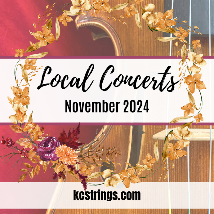 Local String Concerts - November 2024