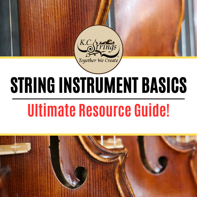 String Instrument Basics - Ultimate Resource Guide